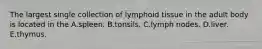 The largest single collection of lymphoid tissue in the adult body is located in the A.spleen. B.tonsils. C.lymph nodes. D.liver. E.thymus.