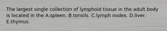 The largest single collection of lymphoid tissue in the adult body is located in the A.spleen. B.tonsils. C.lymph nodes. D.liver. E.thymus.