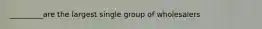 _________are the largest single group of wholesalers