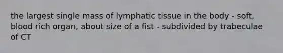 the largest single mass of lymphatic tissue in the body - soft, blood rich organ, about size of a fist - subdivided by trabeculae of CT