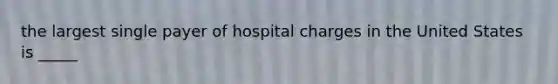 the largest single payer of hospital charges in the United States is _____