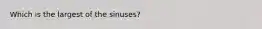 Which is the largest of the sinuses?