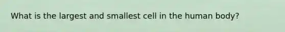 What is the largest and smallest cell in the human body?