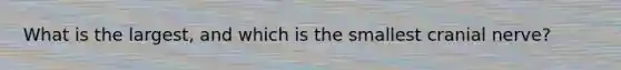 What is the largest, and which is the smallest cranial nerve?