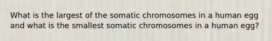 What is the largest of the somatic chromosomes in a human egg and what is the smallest somatic chromosomes in a human egg?