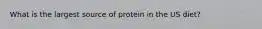 What is the largest source of protein in the US diet?