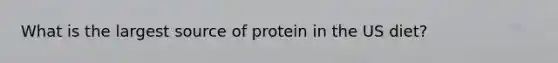 What is the largest source of protein in the US diet?