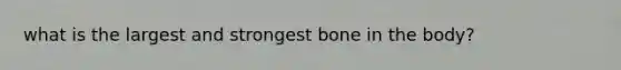 what is the largest and strongest bone in the body?