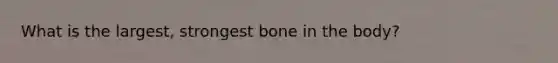 What is the largest, strongest bone in the body?