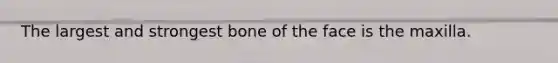 The largest and strongest bone of the face is the maxilla.