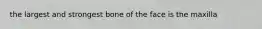 the largest and strongest bone of the face is the maxilla