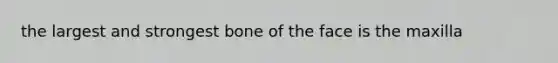 the largest and strongest bone of the face is the maxilla