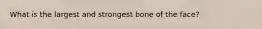 What is the largest and strongest bone of the face?