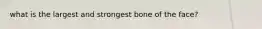 what is the largest and strongest bone of the face?