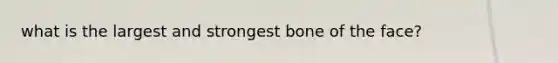 what is the largest and strongest bone of the face?