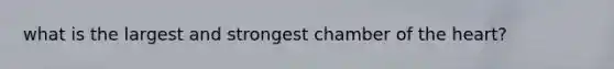 what is the largest and strongest chamber of the heart?