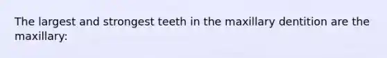 The largest and strongest teeth in the maxillary dentition are the maxillary: