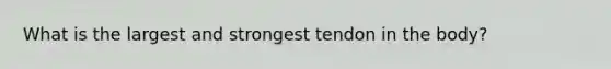 What is the largest and strongest tendon in the body?