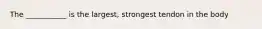 The ___________ is the largest, strongest tendon in the body