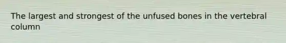 The largest and strongest of the unfused bones in the vertebral column