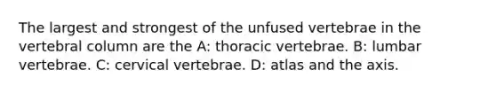 The largest and strongest of the unfused vertebrae in the vertebral column are the A: thoracic vertebrae. B: lumbar vertebrae. C: cervical vertebrae. D: atlas and the axis.