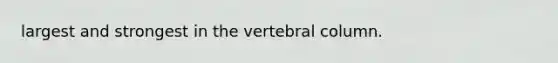 largest and strongest in the vertebral column.