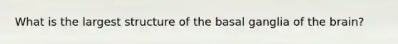 What is the largest structure of the basal ganglia of the brain?