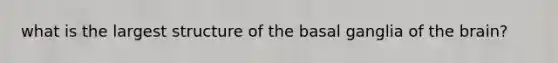 what is the largest structure of the basal ganglia of the brain?