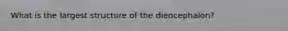 What is the largest structure of the diencephalon?