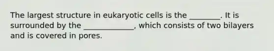 The largest structure in <a href='https://www.questionai.com/knowledge/kb526cpm6R-eukaryotic-cells' class='anchor-knowledge'>eukaryotic cells</a> is the ________. It is surrounded by the _____________, which consists of two bilayers and is covered in pores.