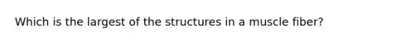 Which is the largest of the structures in a muscle fiber?