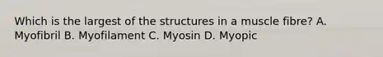 Which is the largest of the structures in a muscle fibre? A. Myofibril B. Myofilament C. Myosin D. Myopic