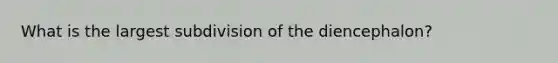 What is the largest subdivision of the diencephalon?