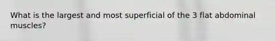 What is the largest and most superficial of the 3 flat abdominal muscles?