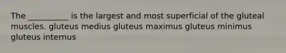 The __________ is the largest and most superficial of the gluteal muscles. gluteus medius gluteus maximus gluteus minimus gluteus internus