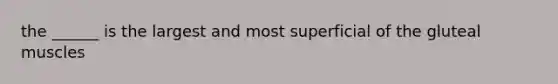 the ______ is the largest and most superficial of the gluteal muscles