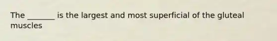 The _______ is the largest and most superficial of the gluteal muscles