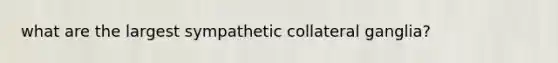 what are the largest sympathetic collateral ganglia?