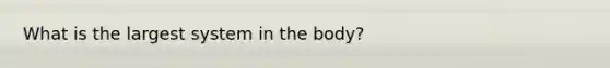 What is the largest system in the body?