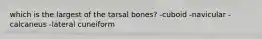 which is the largest of the tarsal bones? -cuboid -navicular -calcaneus -lateral cuneiform