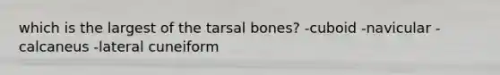 which is the largest of the tarsal bones? -cuboid -navicular -calcaneus -lateral cuneiform