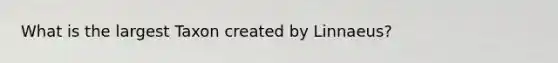 What is the largest Taxon created by Linnaeus?