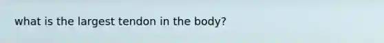 what is the largest tendon in the body?