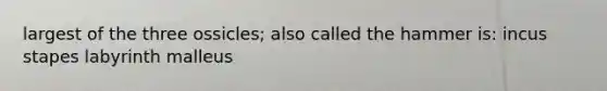 largest of the three ossicles; also called the hammer is: incus stapes labyrinth malleus