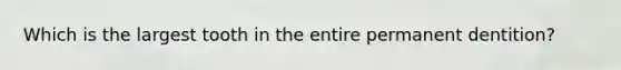 Which is the largest tooth in the entire permanent dentition?