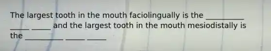 The largest tooth in the mouth faciolingually is the __________ _____ _____ and the largest tooth in the mouth mesiodistally is the __________ _____ _____