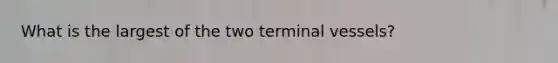 What is the largest of the two terminal vessels?