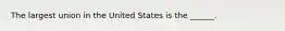 The largest union in the United States is the ______.