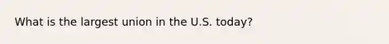 What is the largest union in the U.S. today?