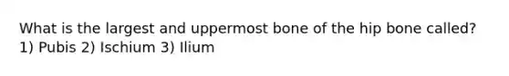 What is the largest and uppermost bone of the hip bone called? 1) Pubis 2) Ischium 3) Ilium